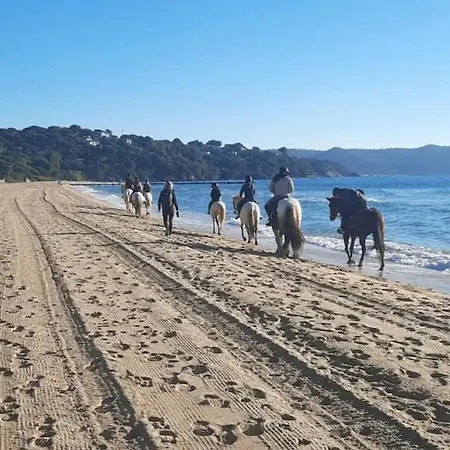 Petit Paradis Vue à Sur Golfe De St Tropez Appartamento Cavalaire-sur-Mer